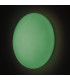 MOON LED Plaster Wall Light White IP44 2000lm with Remote Control RGBW 38.5x10cm-4
