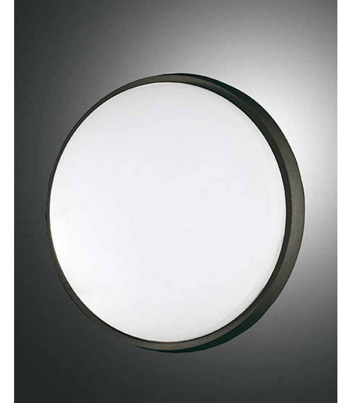 Olly LED Outdoor Surface Mounted Downlight Black Glass IP54