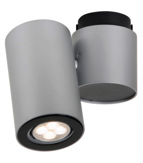 Barro Single Spotlight Silver