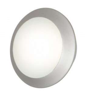 Flush Ceiling Light Aluminum