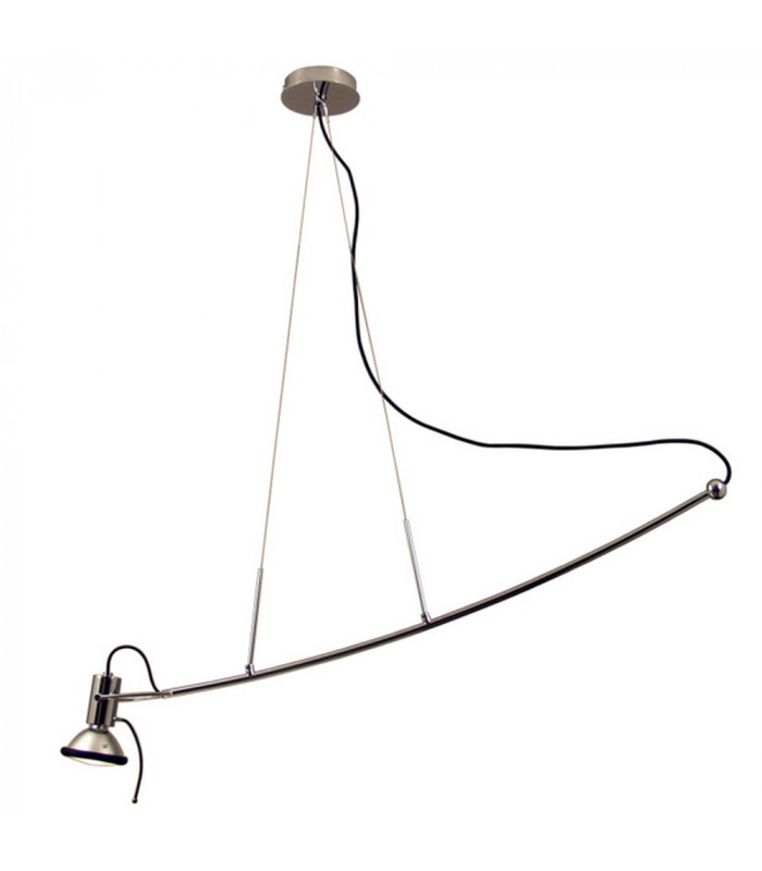 Parrot Pendant Ceiling Light Chrome