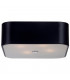 Quadro Cylindrical Ceiling Light Black