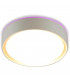 Colorato Flush Ceiling Light Purple