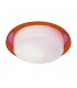 Tray Flush Ceiling Light Red