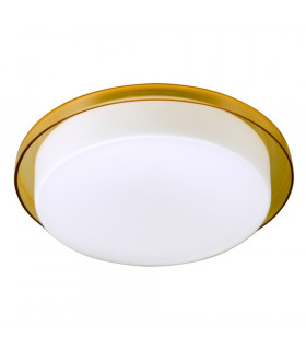Tray Flush Ceiling Light Orange