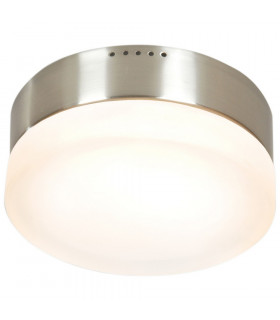2 Light Flush Ceiling Light Stainless Steel