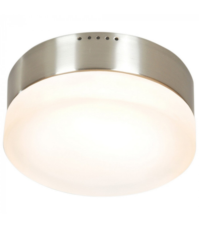2 Light Flush Ceiling Light Stainless Steel