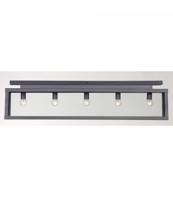 Zenia 5 Light Semi Flush Light Lead