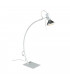 Parrot Desk Task Lamp White Metal