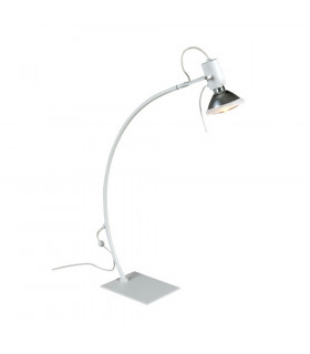 Parrot Desk Task Lamp White Metal