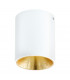 Polasso Led Surface Mounted Downlight White Gold