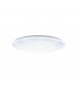 Giron Led Flush Ceiling Light White Remote Control Included CCT