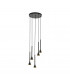 Cortaderas 5 Lamp Cluster Pendant Ceiling Light Black Gold 3 Step Dimming-1