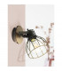 Sambatello Single Spotlight Brown Silver-2