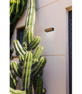 Lako Led Outdoor Wood Wall Lamp IP65-2