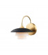 Barron 1 Light Wall Sconce Brass Glass