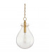 Ivy 1 Light Medium Pendant Brass Glass