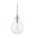 Ivy 1 Light Medium Pendant Polished Nickel Glass