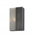 Impression 2 Light Wall Sconce Graphite And Satin Nickel
