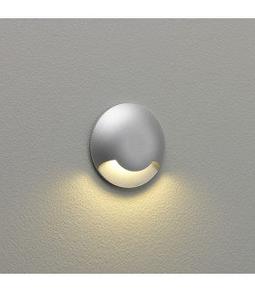 Beam One LED 1 Light Outdoor Wall Light Painted Silver IP67