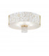 Emozione Glass Cylindrical Ceiling Light 6 Light 24 Carat Gold-1