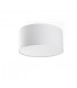 2 Light Small Flush Ceiling Light White, E27 - 3