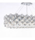 Raina 10 Light Chrome Crystal Light-2