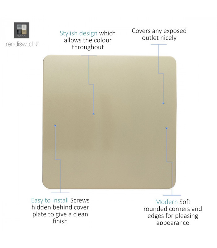 Artistic Modern 1 Gang Blanking Plate Champagne Gold Finish-3