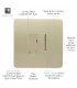 Artistic Modern Switch Fused Spur 13A With Flex Outlet Champagne Gold Finish-3