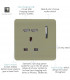 Artistic Modern 1 Gang 13Amp Switched Socket WIth 2 x USB Ports Champagne Gold Finish-3