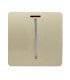 Artistic Modern 20 Amp Neon Insert Double Pole Switch Champagne Gold Finish-1