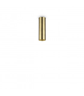 Look Surface Mounted Downlight Brass