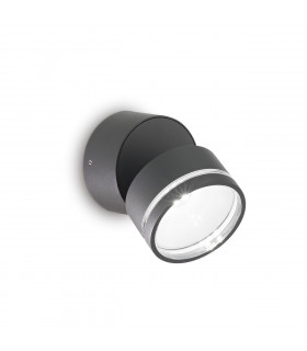Omega Round Single Spotlight Anthracite IP54 3000K