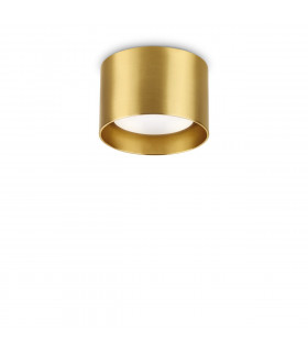 Spike Round Surface Mounted Downlight Brass