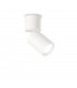Toby Adjustable Surface Mounted Downlight White
