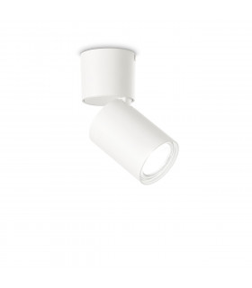 Toby Adjustable Surface Mounted Downlight White