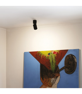 Toby Adjustable Surface Mounted Downlight Black-2