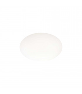 Clio-1 Paralume Glass Shade