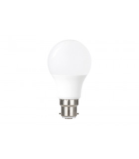 GLS Bulb B22 1055LM 9.5W 2700K Non Dimmable 240 Beam Frosted