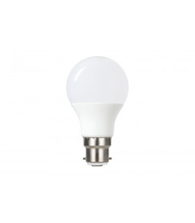 GLS Bulb B22 470LM 4.8W 5000K Non Dimmable 240 Beam Frosted