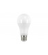 GLS Bulb E27 1921LM 14.5W 2700K Non Dimmable 200 Beam Frosted