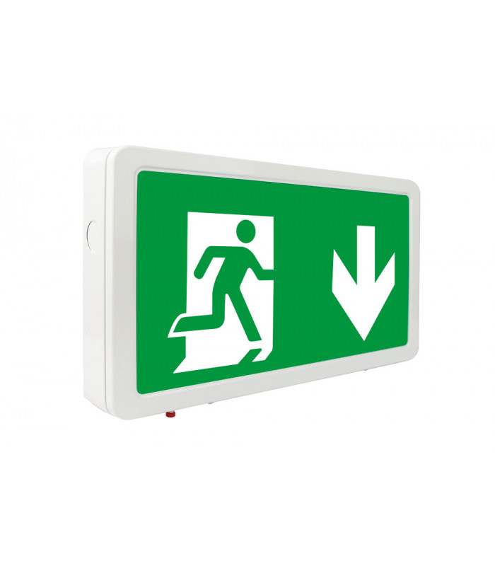 Slimline 2 Emergency Legend Down Arrow For Ilemes008