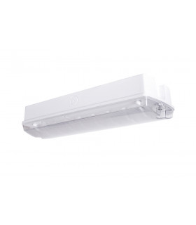 Emergency Bulkhead IP65 5W 3Hr Maintained Or Non-Maintained Manual Test
