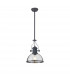Worcester Ceiling Pendant E27 Graphite With Round 30cm Graphite Clear Glass Shade-1