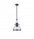 Worcester Ceiling Pendant E27 Graphite With Round 30cm Graphite Clear Glass Shade-4
