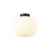 Cheektowaga Medium Oval Ball Flush Fitting E27 Matt Black Base With Frosted White Glass Globe-1