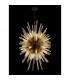 Hornby 32 Light E27 Vertical Oval Ceiling Pendant Brown Oxide Champagne Glass-3