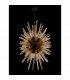 Hornby 32 Light E27 Vertical Oval Ceiling Pendant Brown Oxide Champagne Glass-8