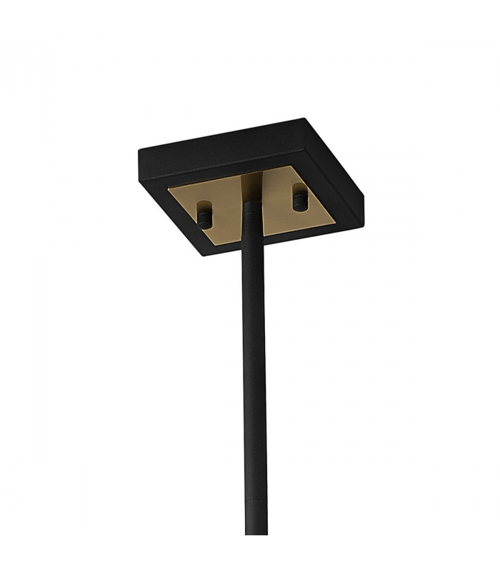 Delaware Ceiling Pendant 4 Light E14 Black Gold-7