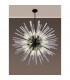 Hornby 32 Light E27 Round Ceiling Pendant Matt Black Clear Glass-10
